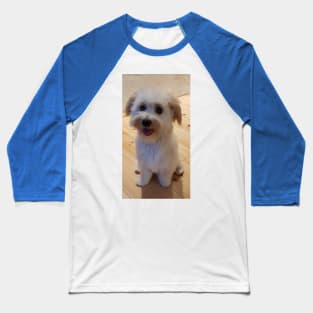 small happy dog Baseball T-Shirt